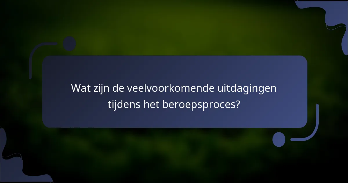 Wat zijn de veelvoorkomende uitdagingen tijdens het beroepsproces?